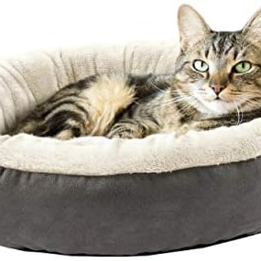 A cat lying in a round donut pet bed